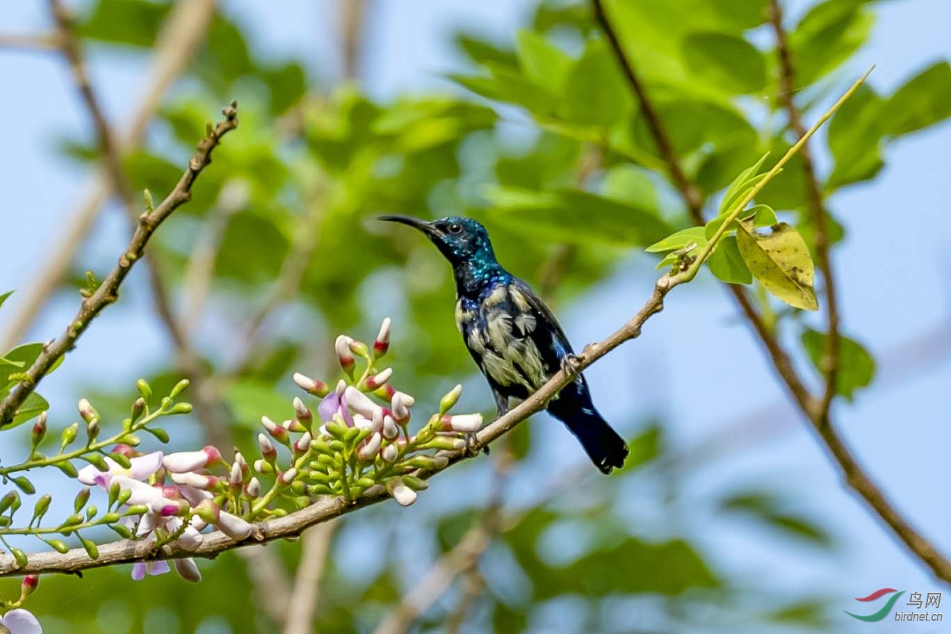 XX������