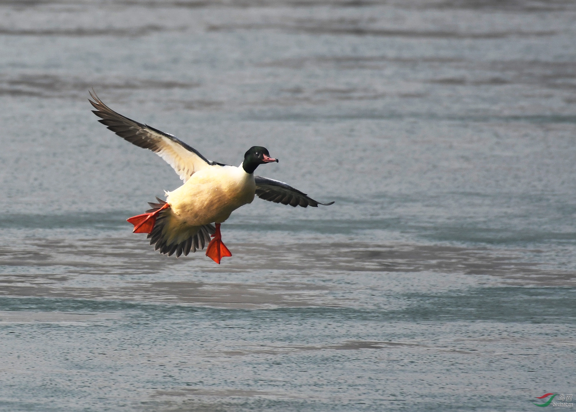 ������Ӱ 2755����.jpg