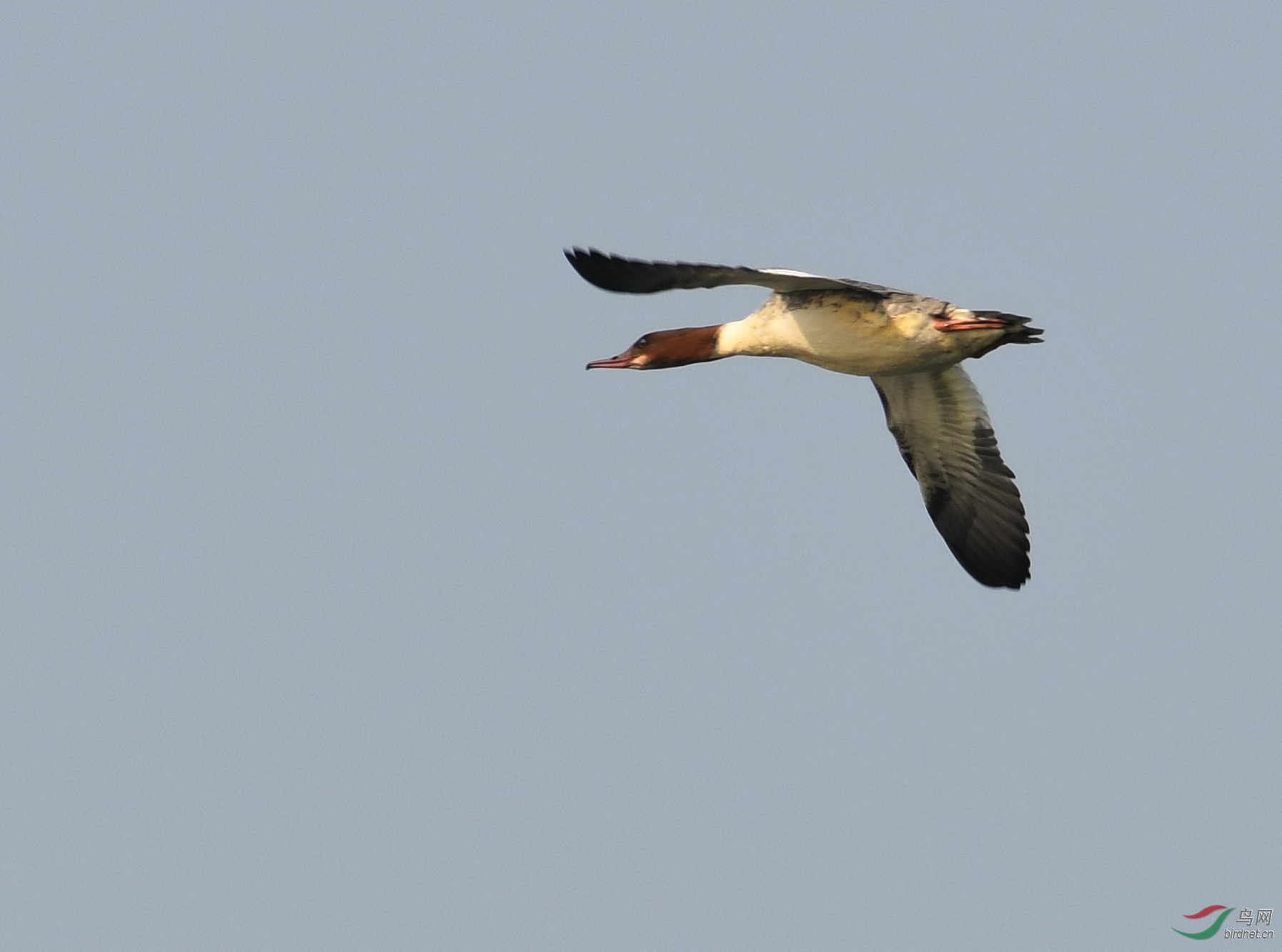 ������Ӱ 3758����.jpg