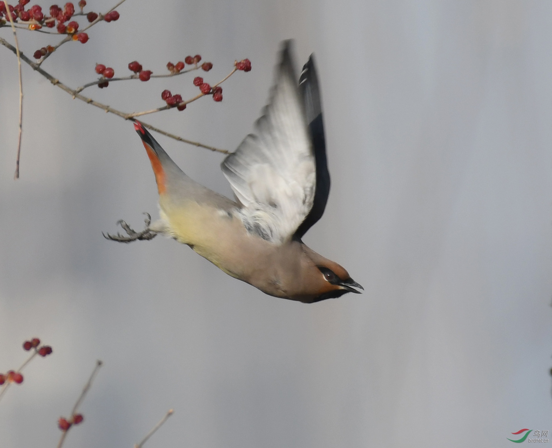 ������Ӱ 1194����.jpg