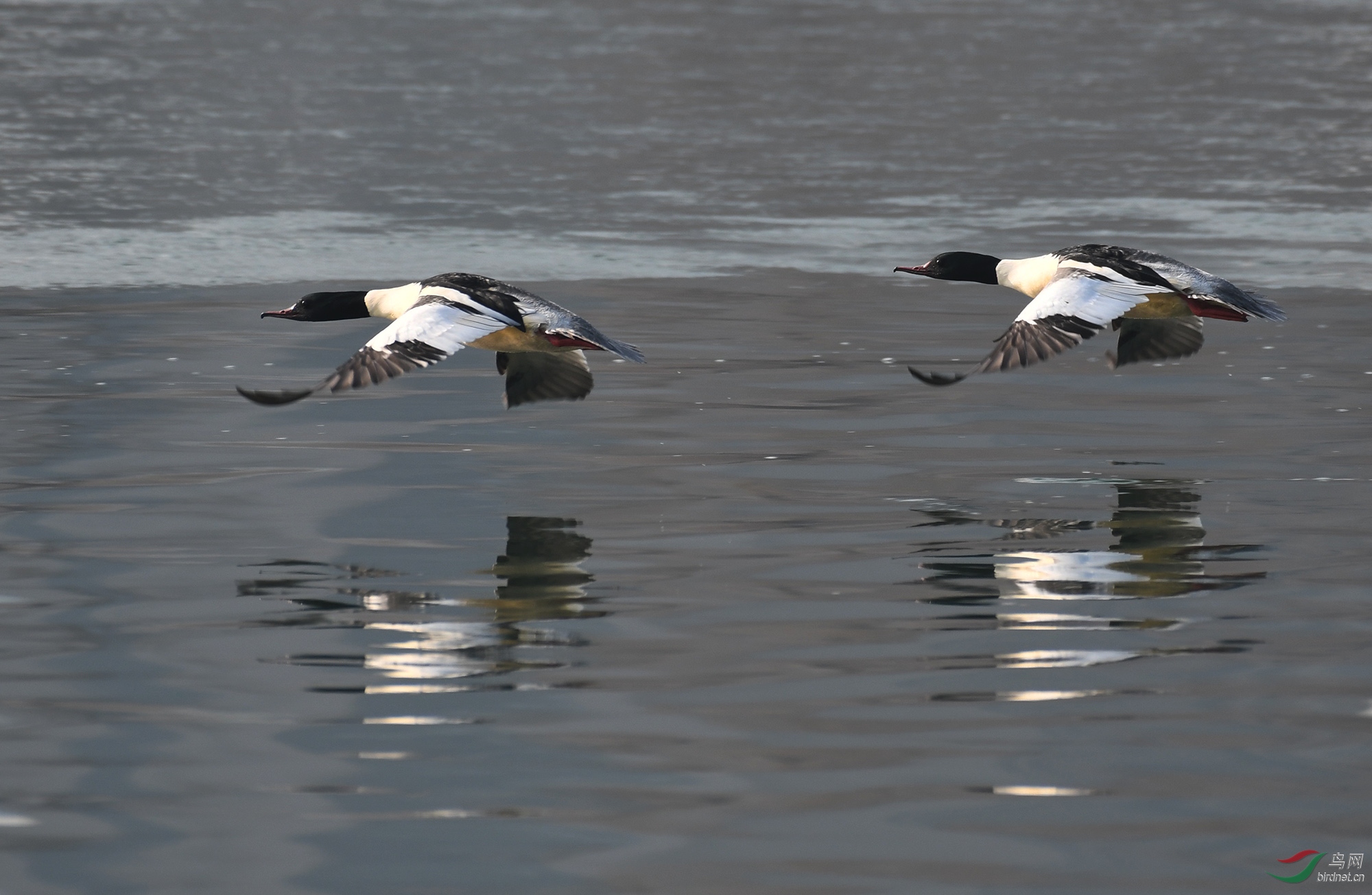 ������Ӱ 2597����.jpg