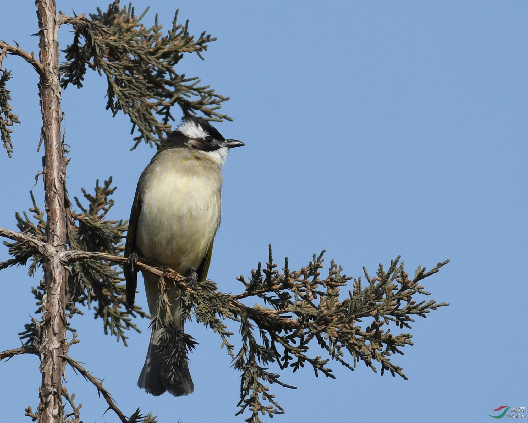 ������Ӱ 2210����.jpg