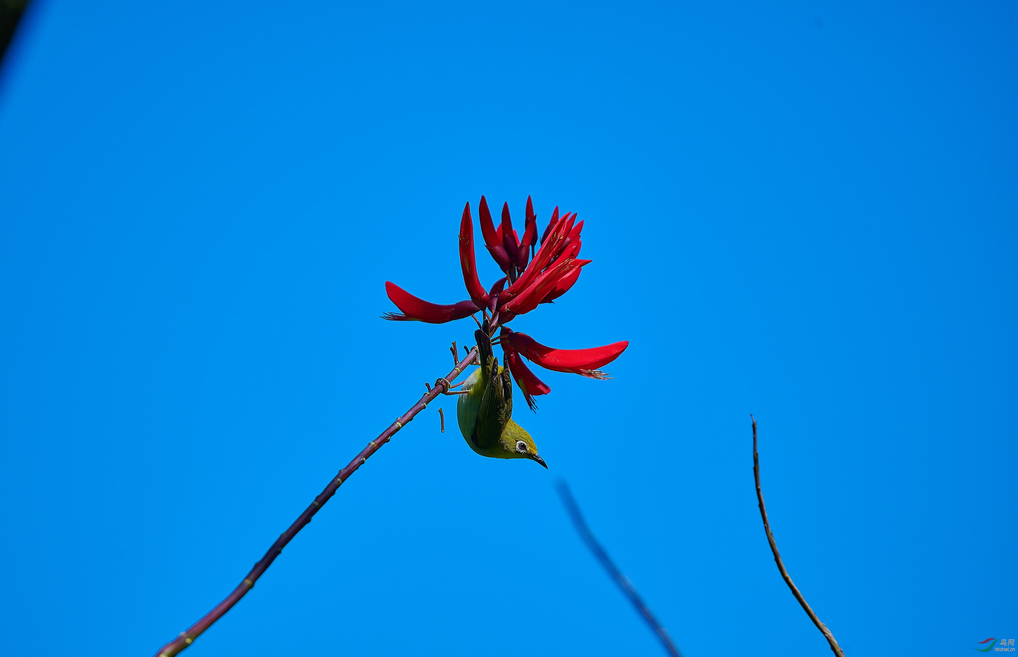 _DSC3275.jpg