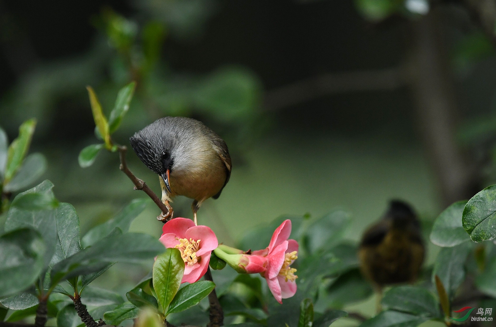 DSC_2271.jpg