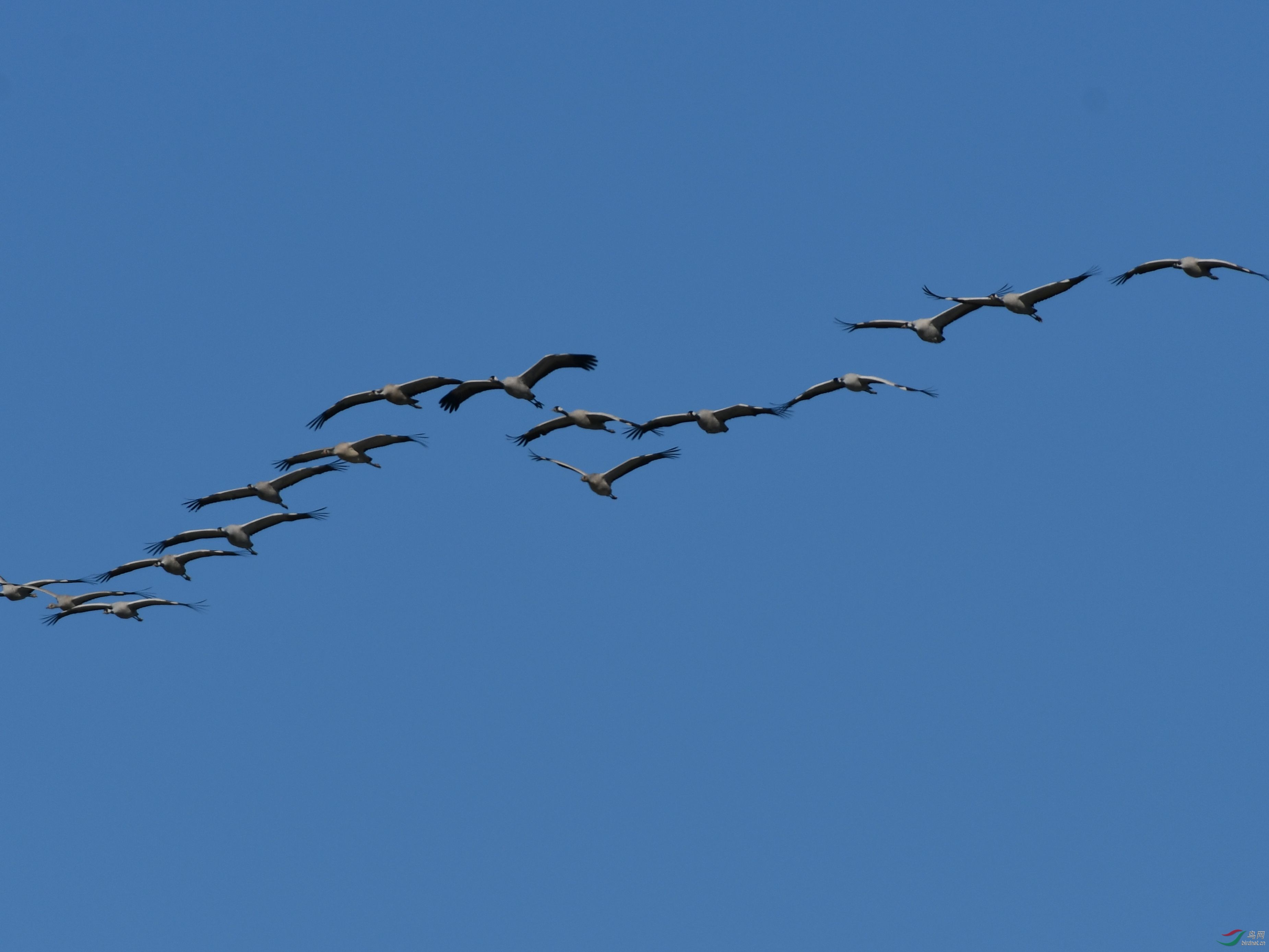 DSC_5769_����.jpg