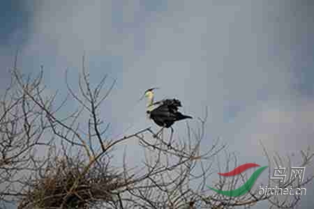 IMG_0016.jpg