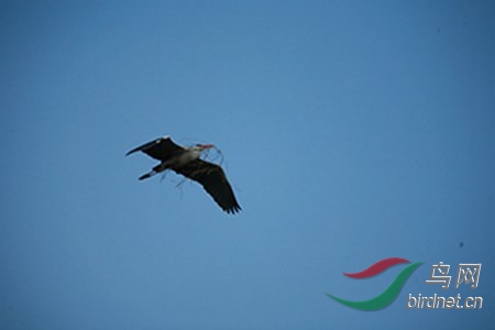 IMG_0086.jpg