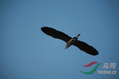 IMG_0097.jpg