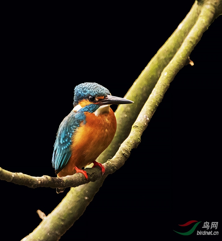 DSC_7659.jpg