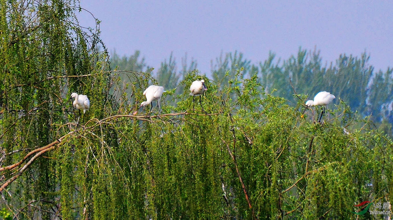 DSC_6281.JPG
