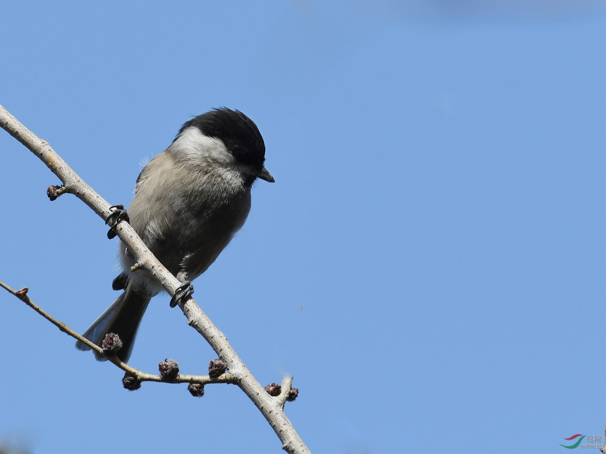 ������Ӱ 300����.jpg