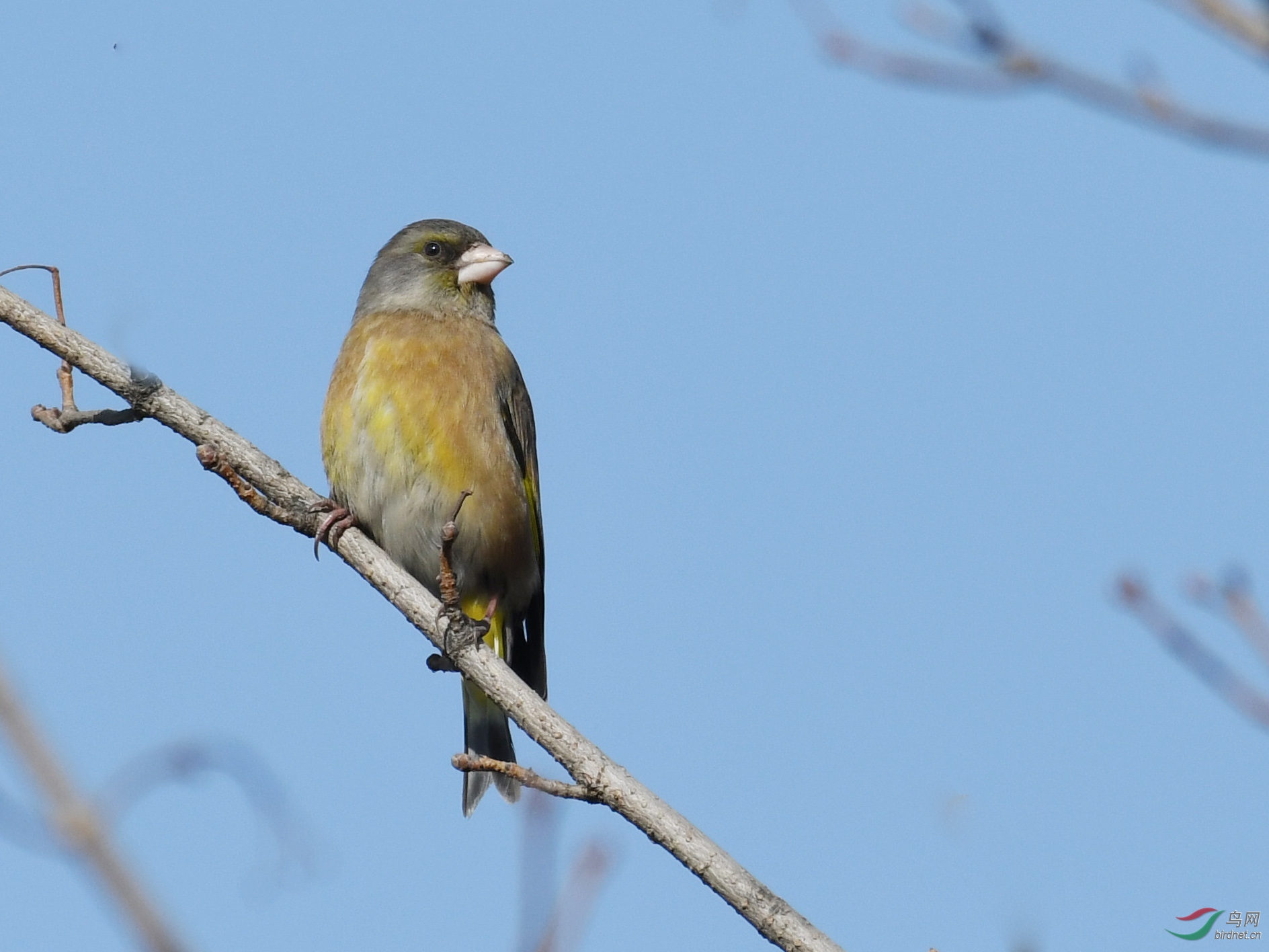 ������Ӱ 008����.jpg