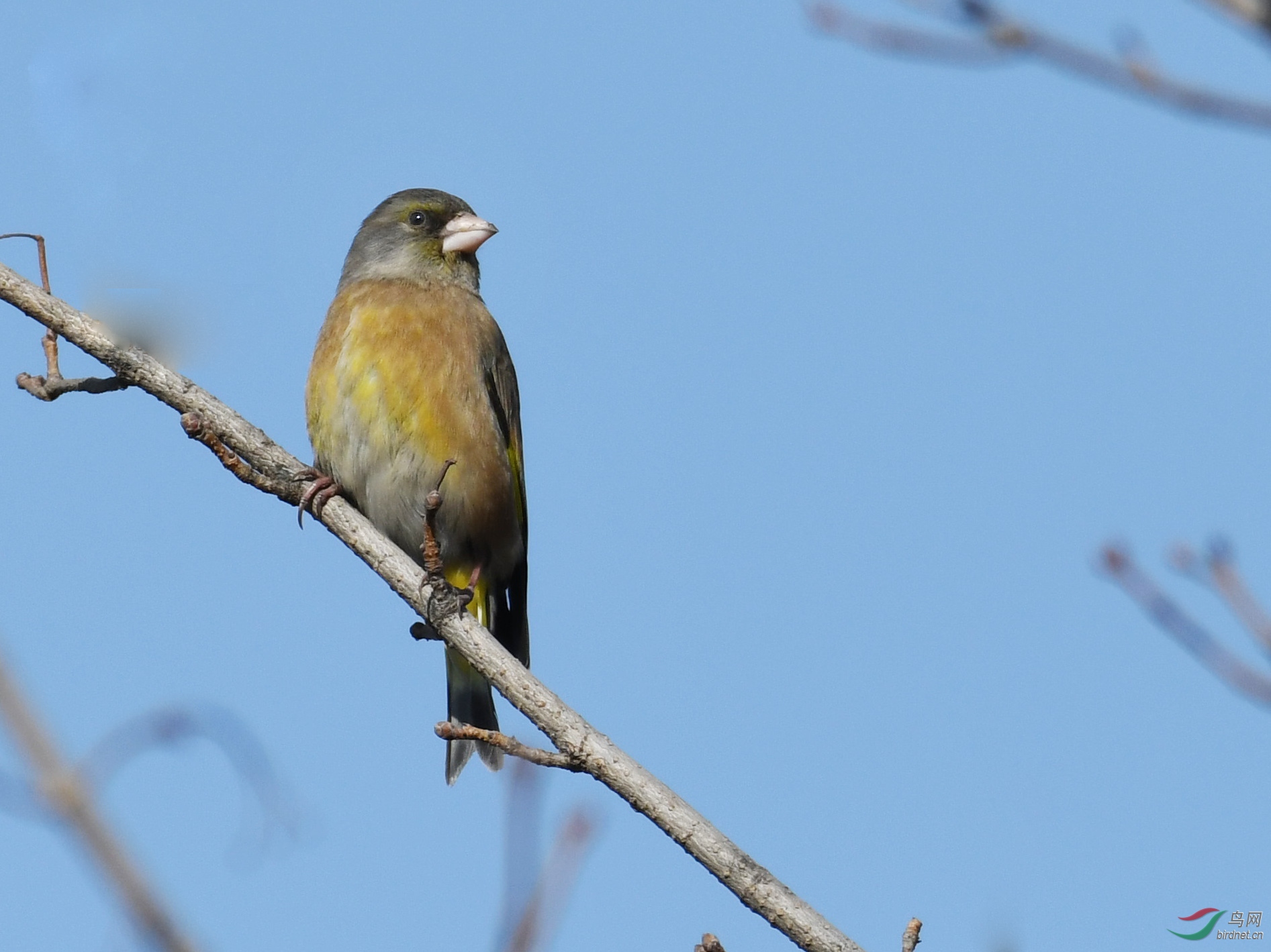 ������Ӱ 007����.jpg