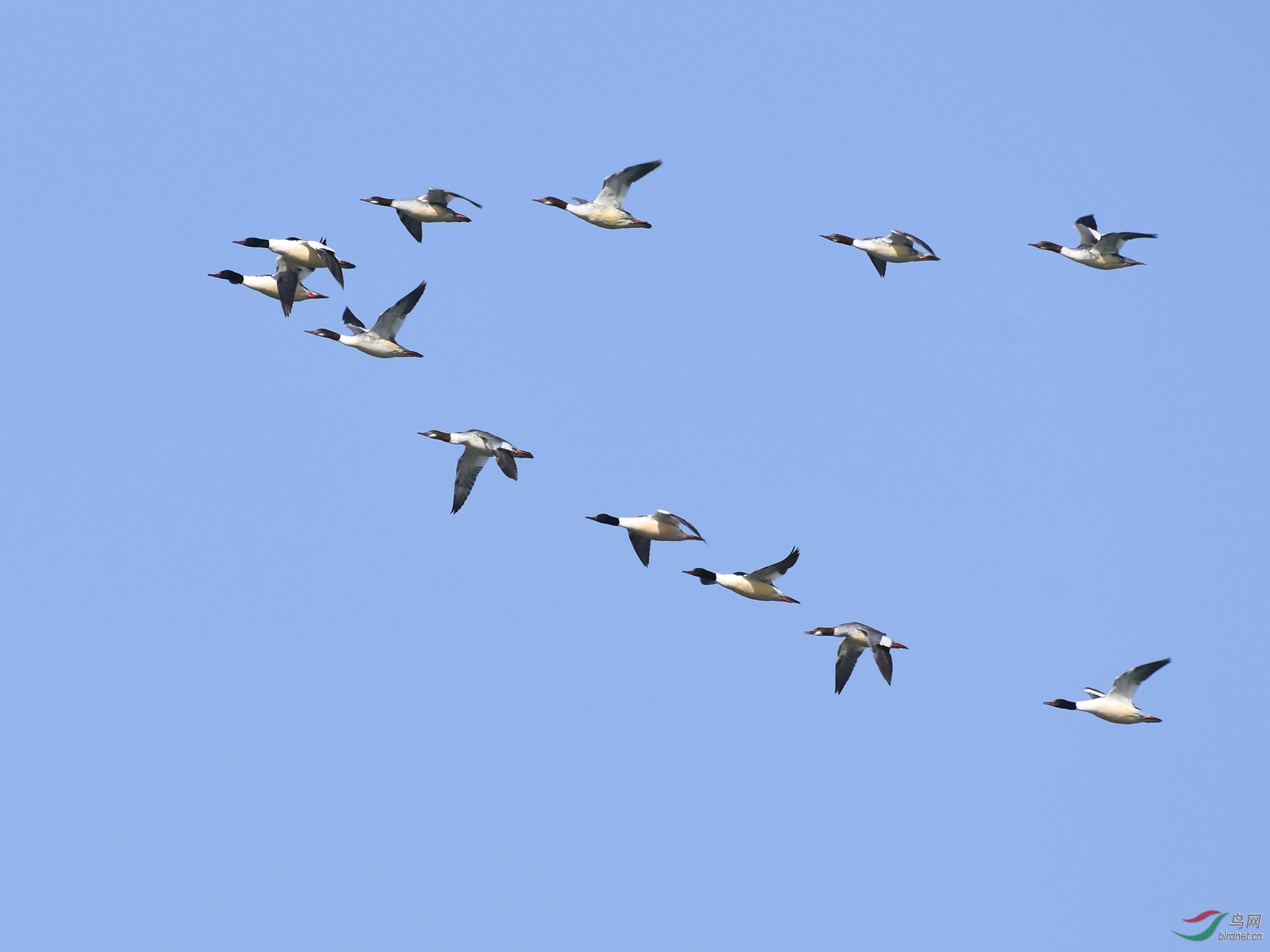 ������Ӱ 176����.jpg