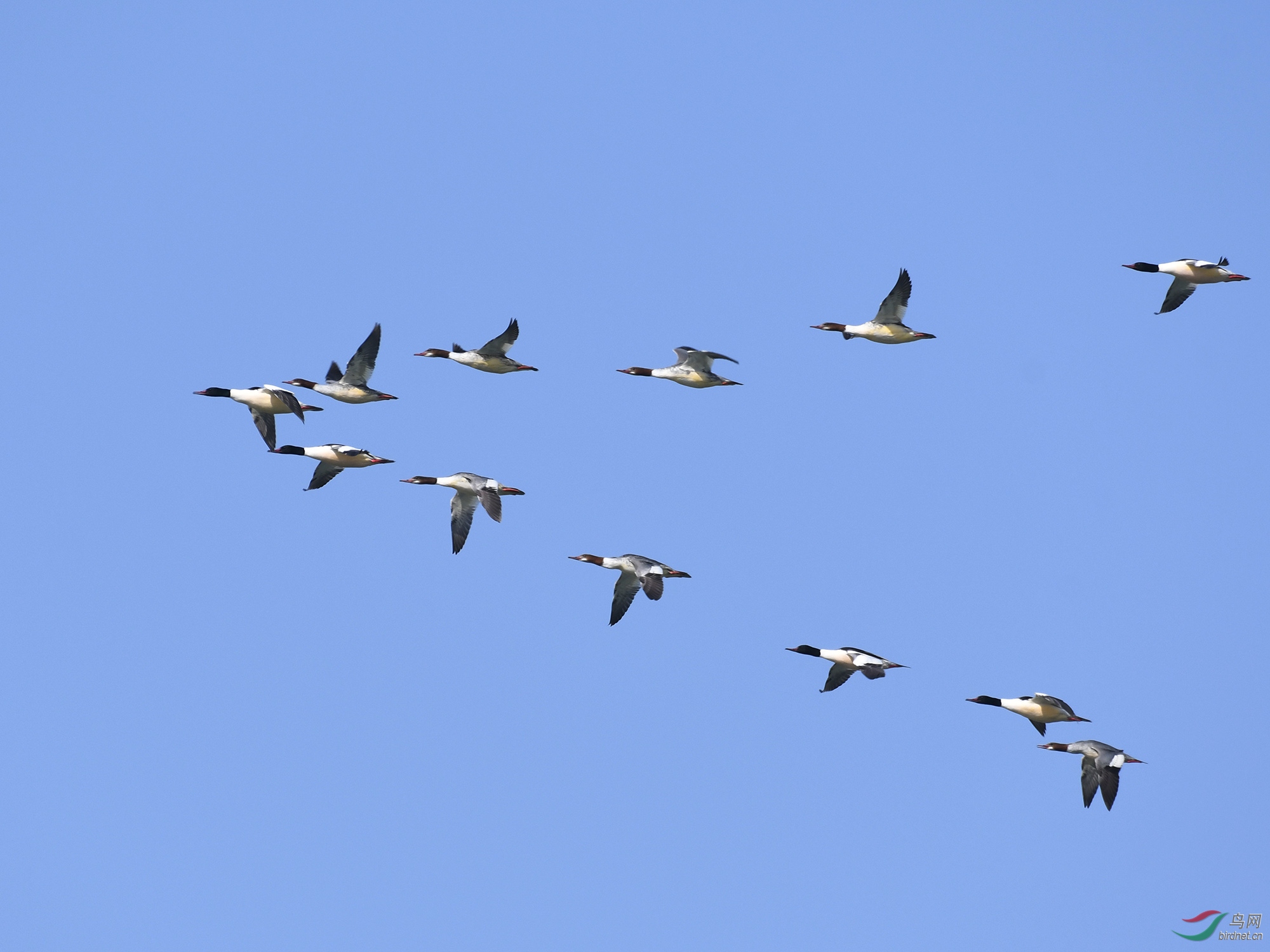 ������Ӱ 188����.jpg