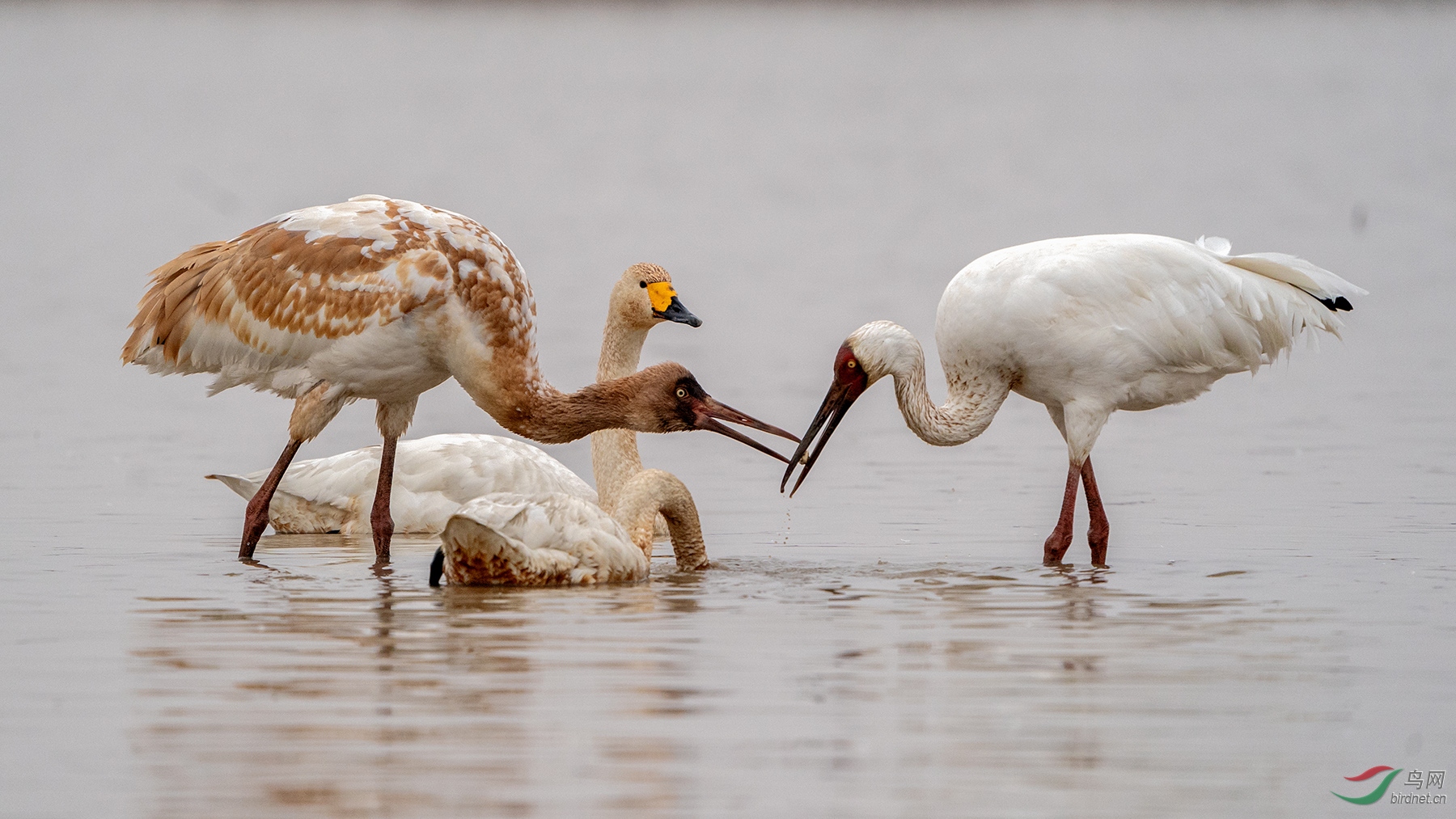 _DSC1535���ͺţ�AIpha-9����ͷSEL200-600G����Ȧ��f6.3�����ţ�1600���й⣺5000�����ࣺ559���عⲹ�� 2.jpg