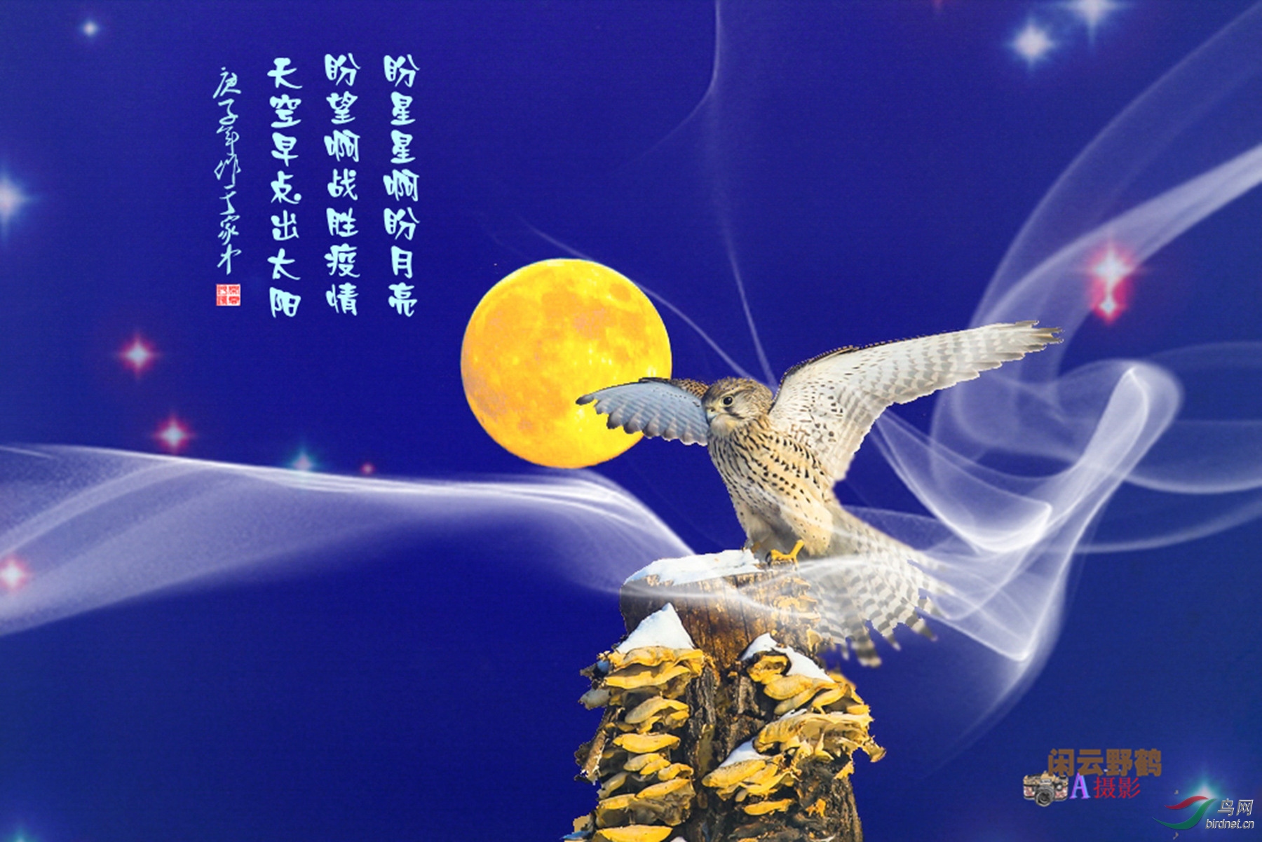 11IMG_4513_���� (1).jpg