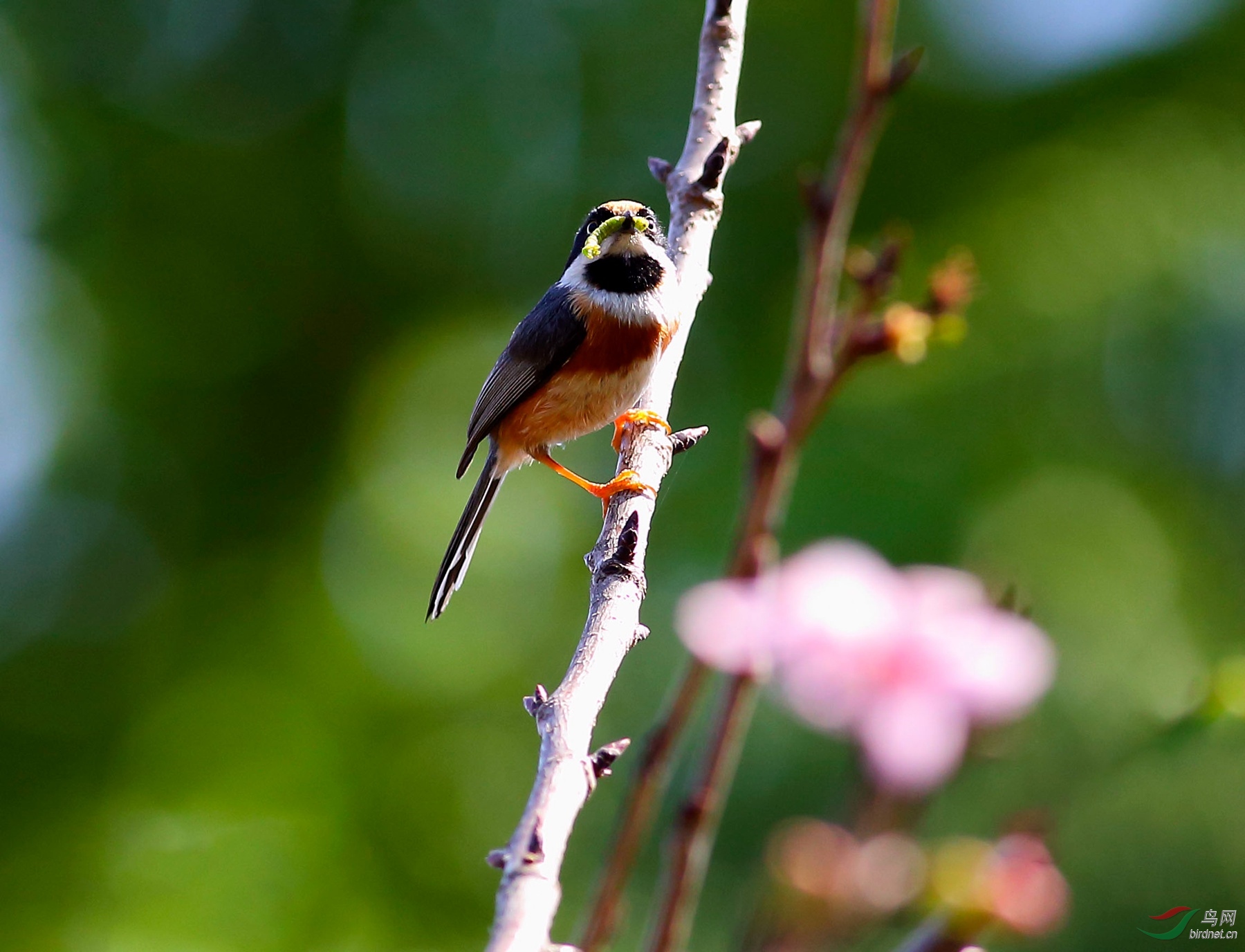 2017-04-01 14-12-53 (2).JPG