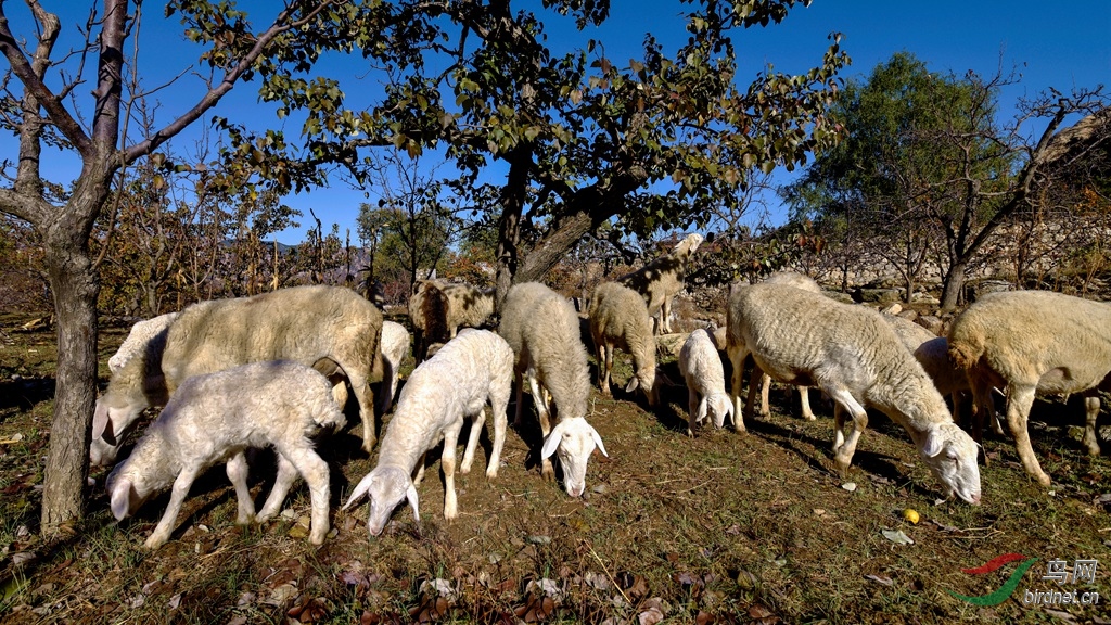 ���� �����кóԵ�