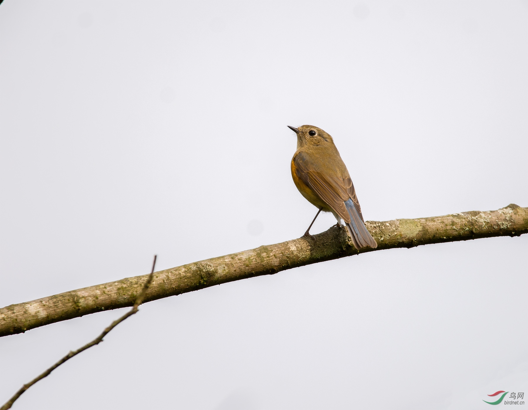 DSC_3590.jpg
