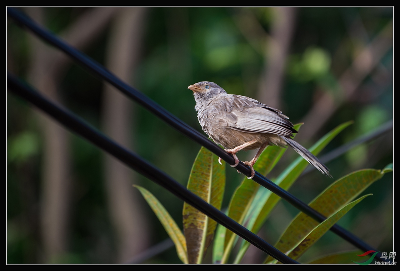 _DSC8460s.jpg