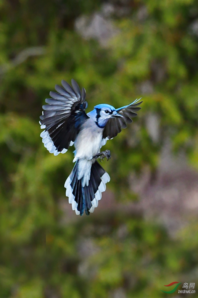 DSC_6862 5.jpg