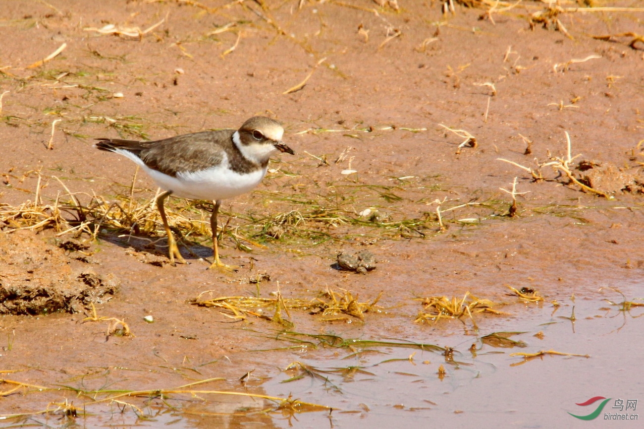 G_160828内蒙�