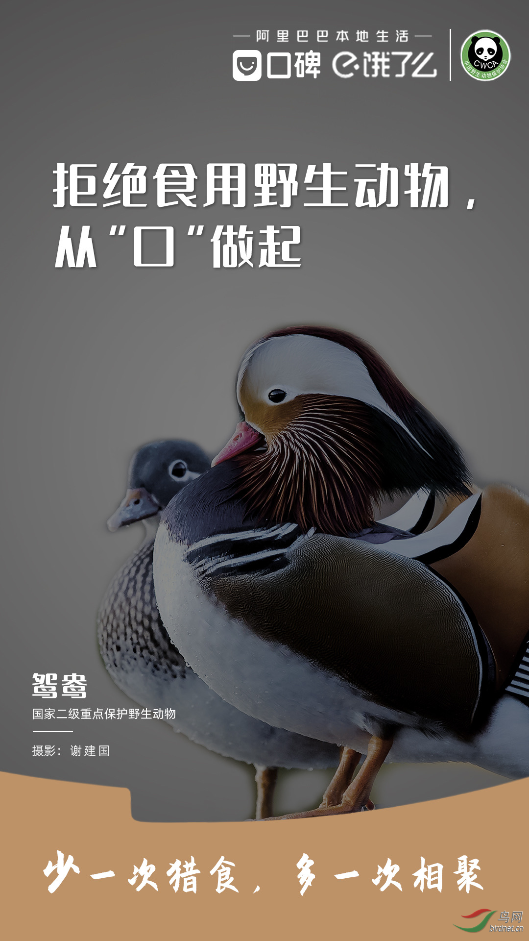 ͼƬ3.png