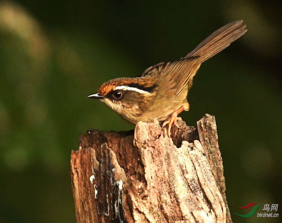 DSC_8642.JPG