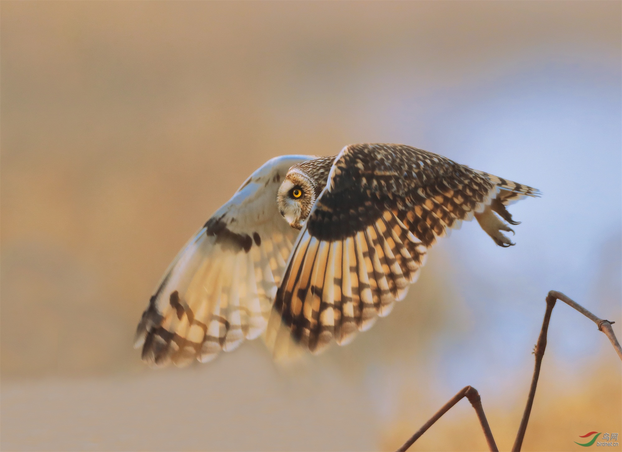 23 - ����.JPG