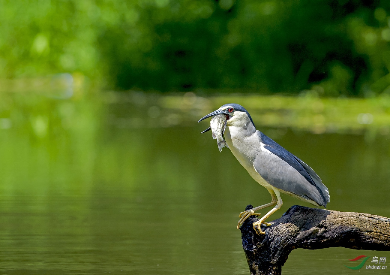 _DSC7965.jpg