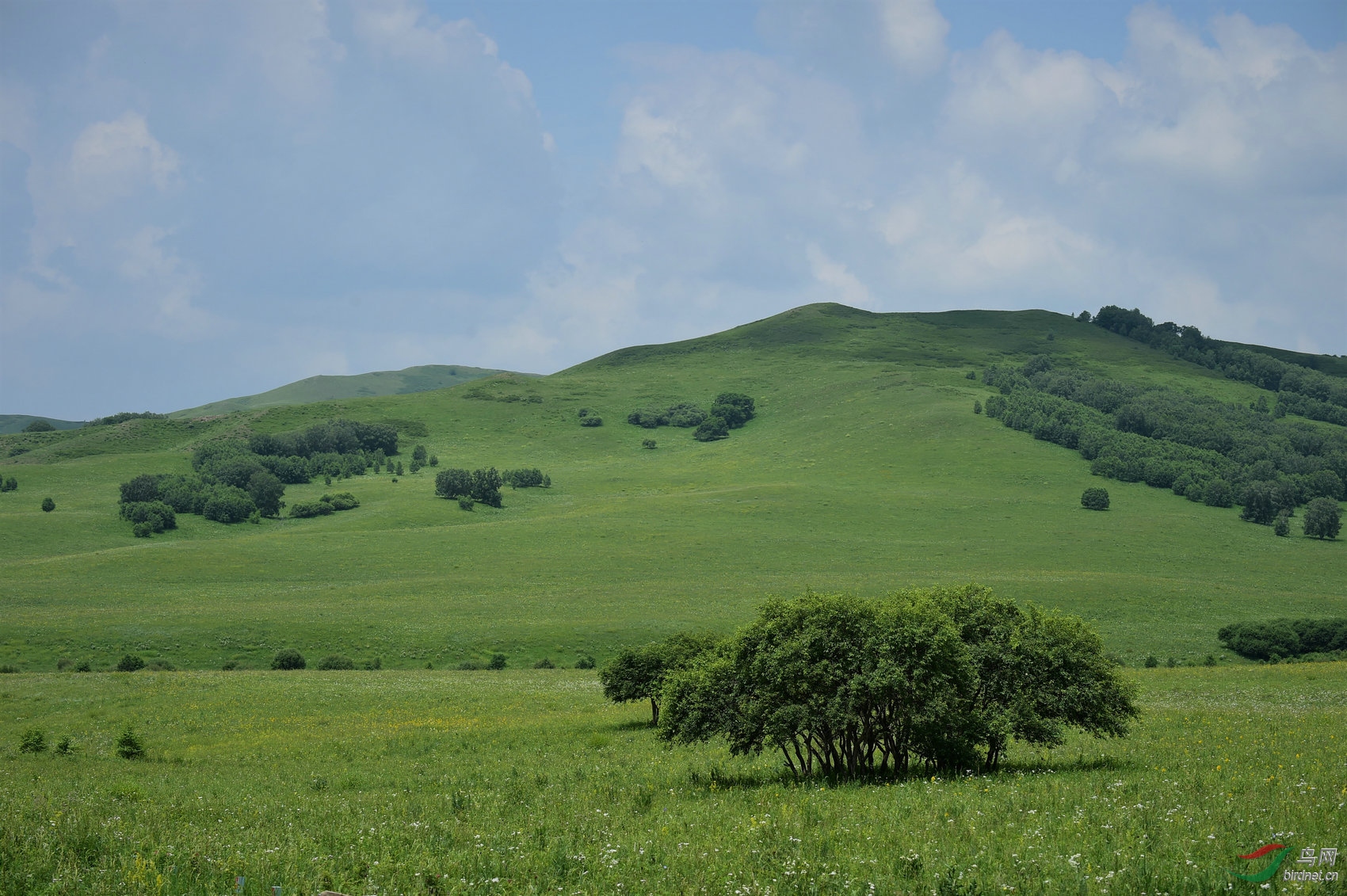 AAA_6736 - ����.jpg