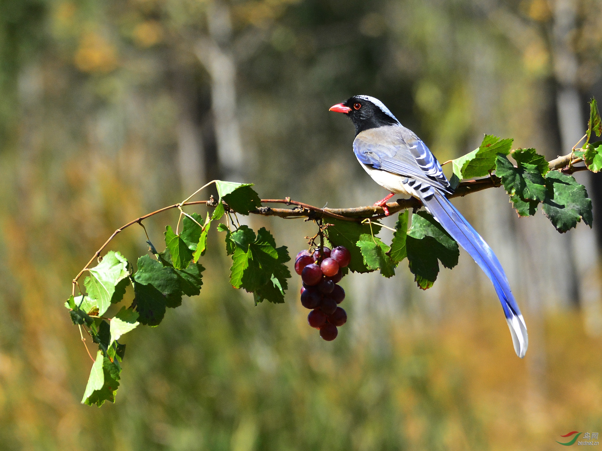 ������Ӱ 777����.jpg