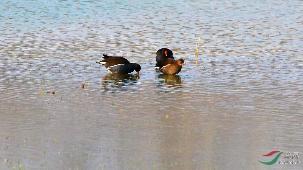 DSC_6063.JPG