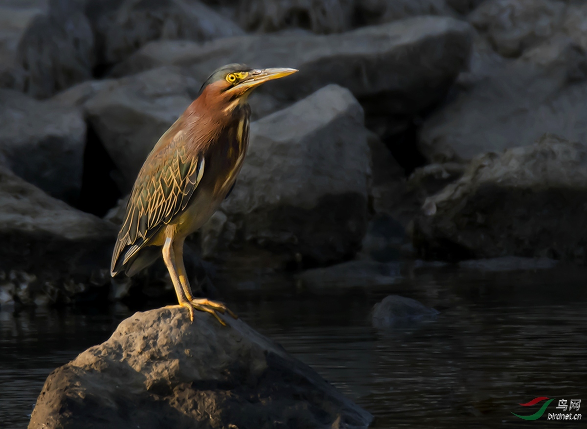 DSC_0025b2.jpg
