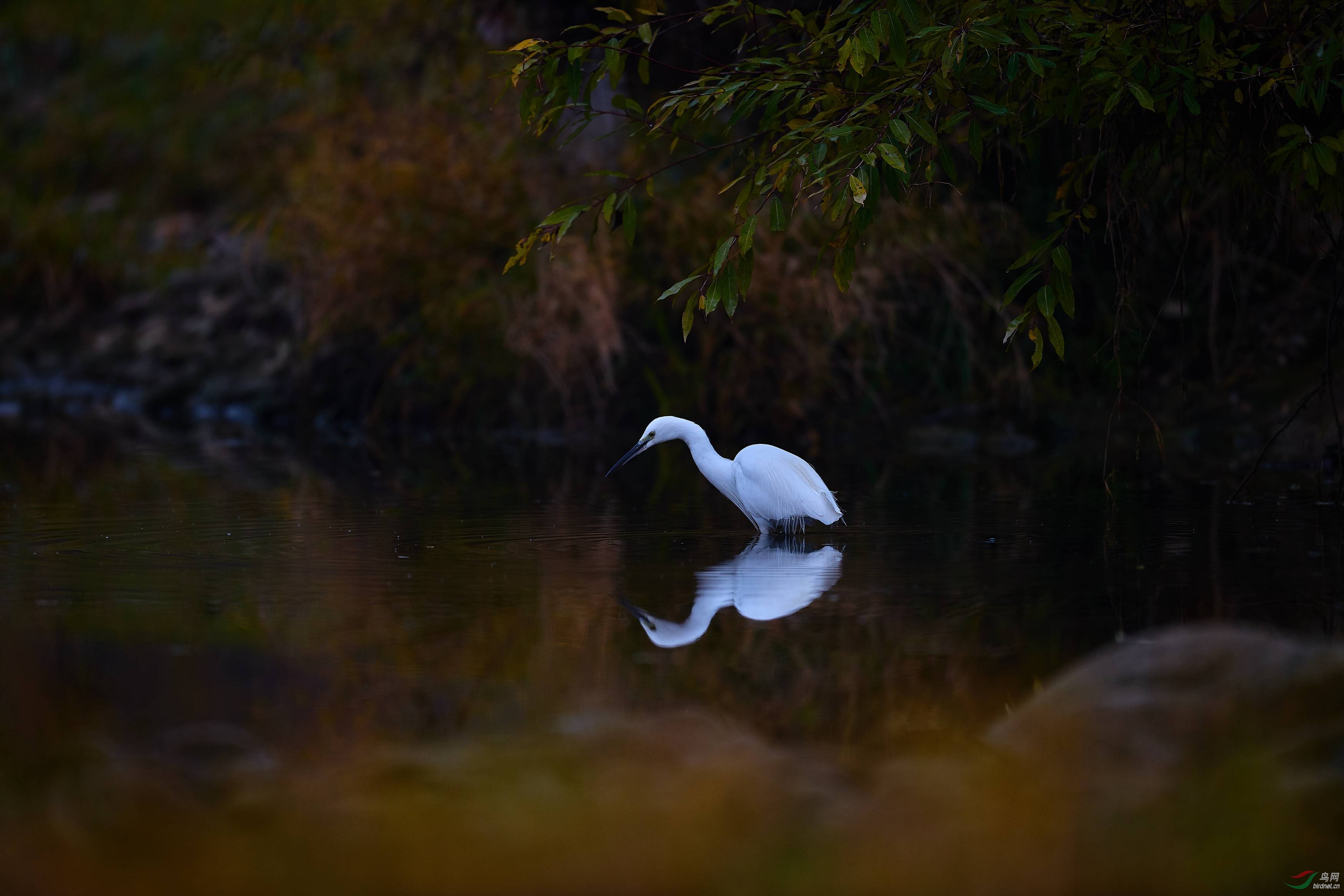 DSC_4909.jpg