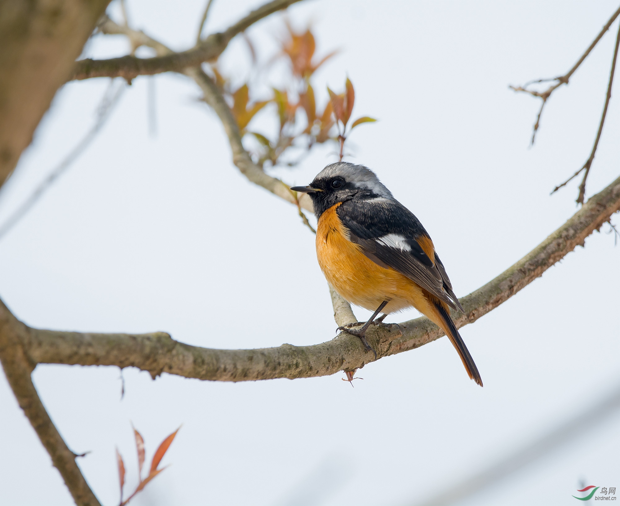 DSC_3769.jpg
