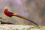 1 (15).JPG