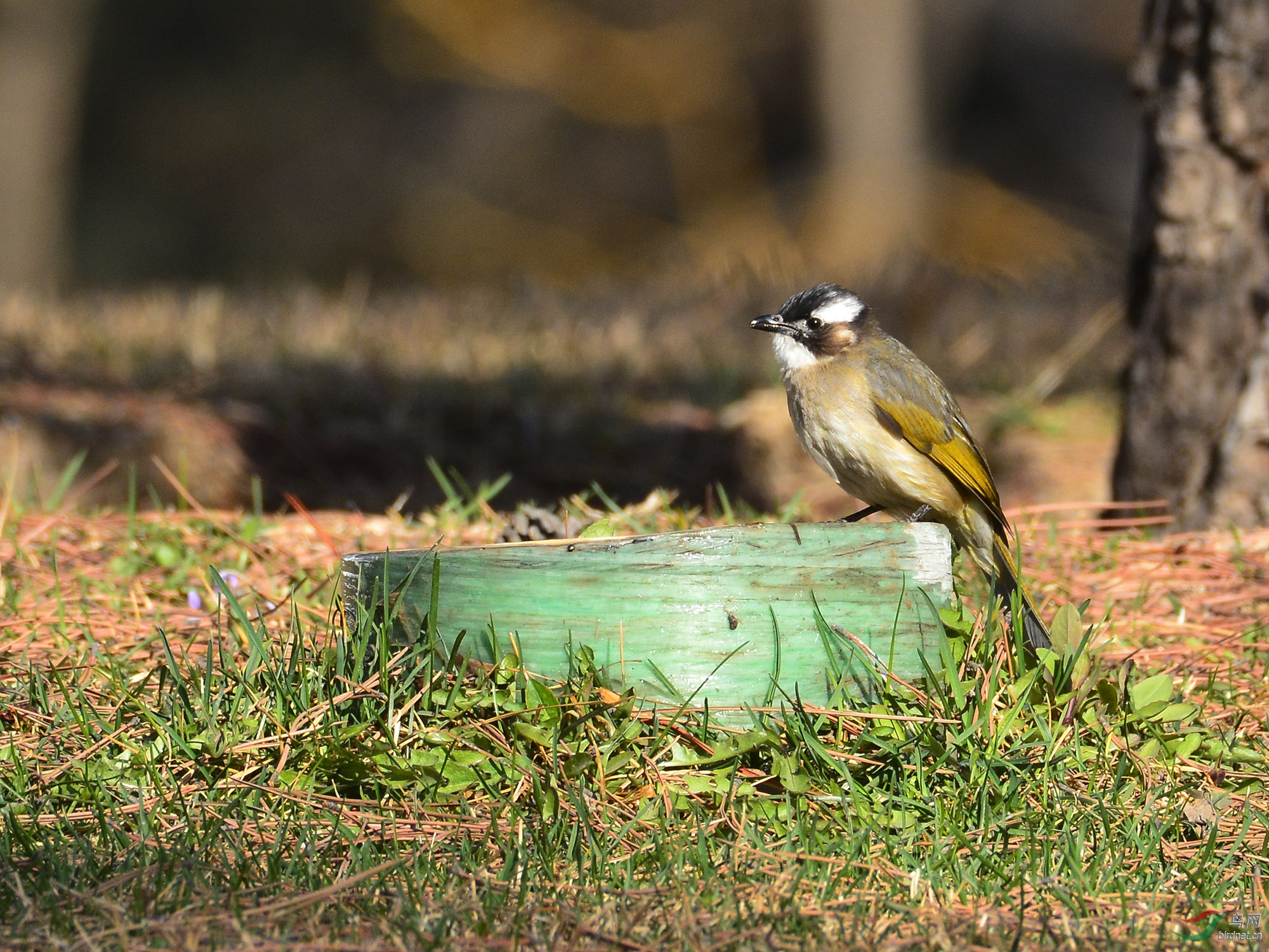 ������Ӱ 465����.jpg