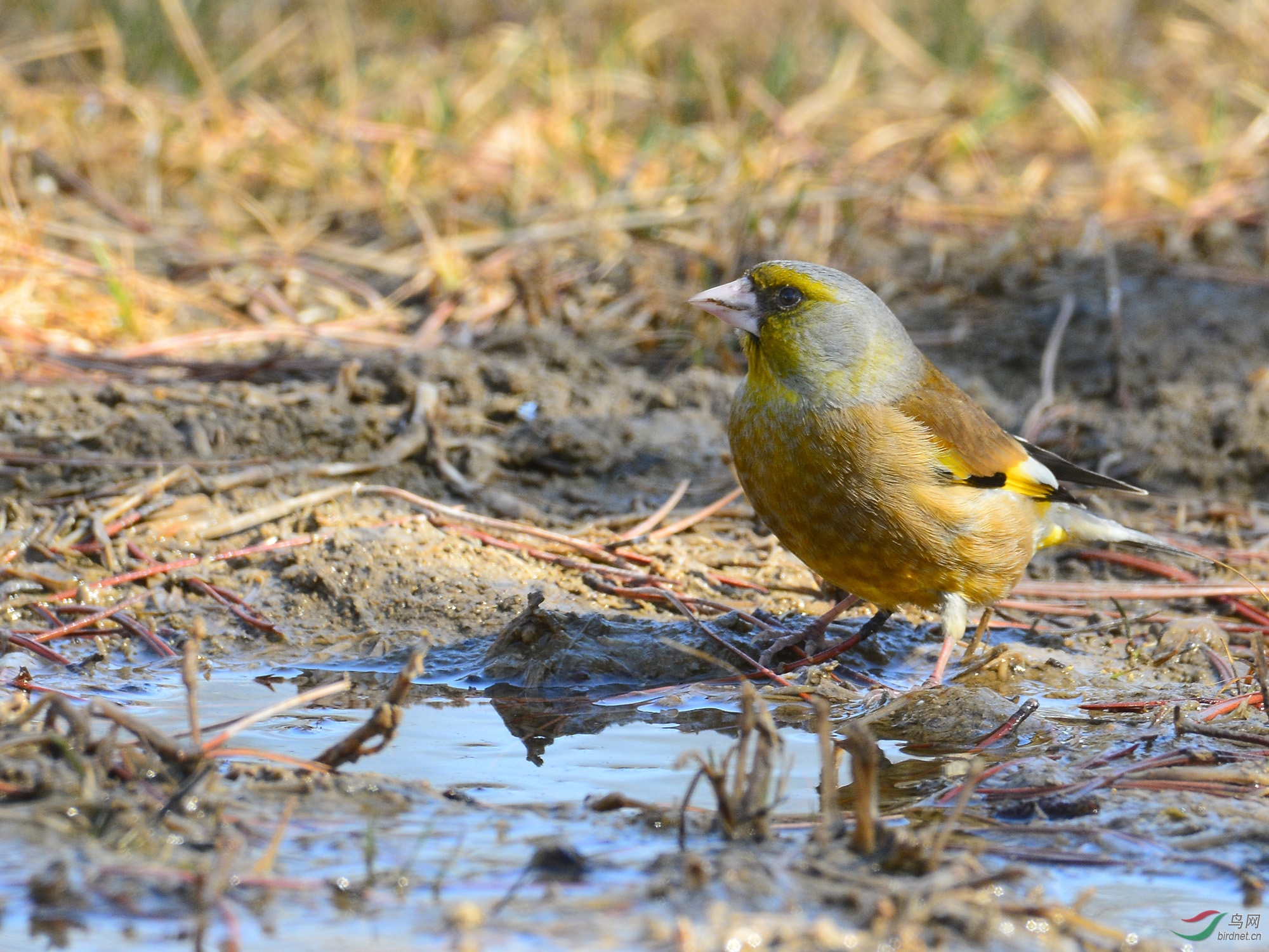 ������Ӱ 824����.jpg