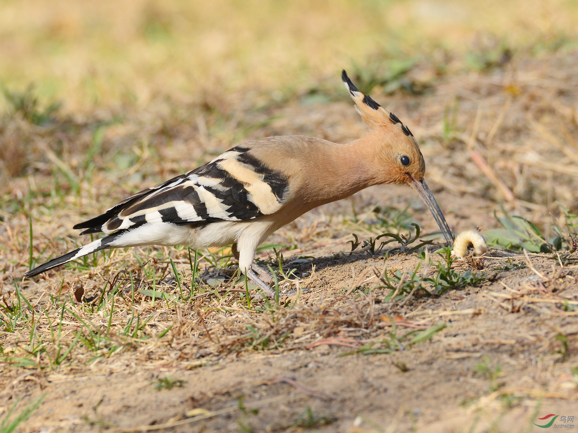 ������Ӱ 845����.jpg