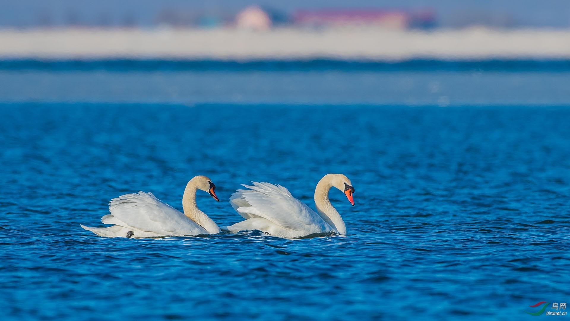 DSC_0159.jpg