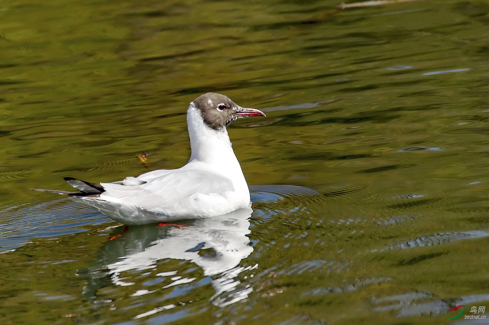 DSC_1370.jpg