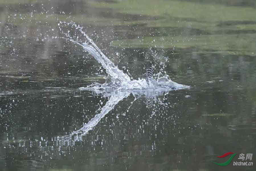 20180224-DSC00969-15 - ���� (2).JPG