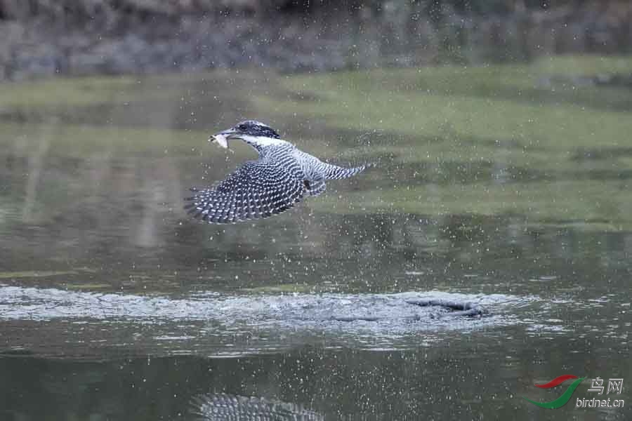 20180224-DSC00980-26 - ���� (3).JPG