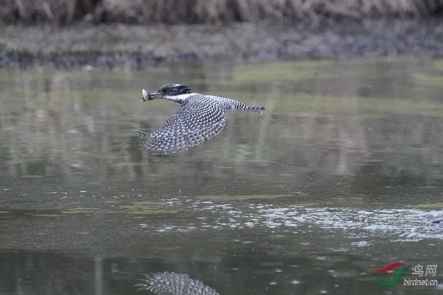 20180224-DSC00990-36 - ���� (3).JPG