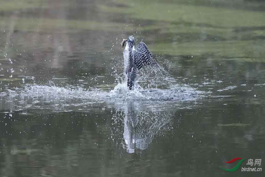 20180224-DSC00974-20 - ���� (3).JPG