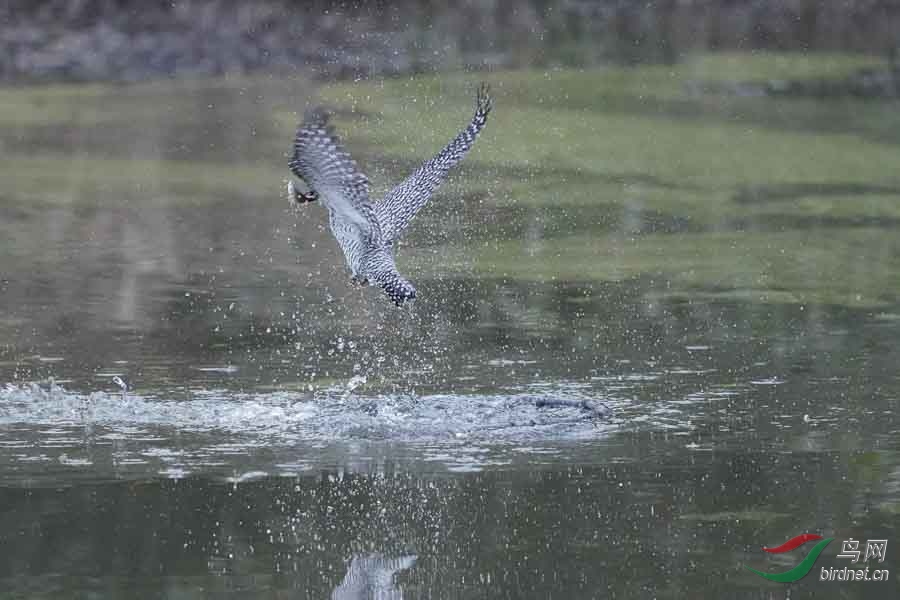 20180224-DSC00977-23 - ���� (3).JPG