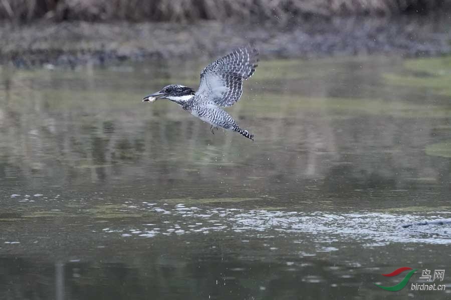 20180224-DSC00989-35 - ���� (2).JPG