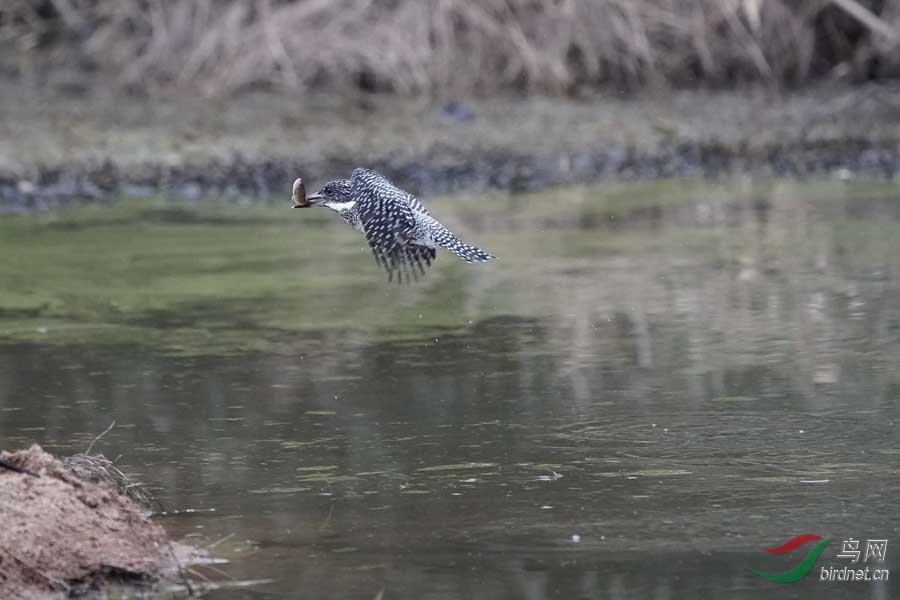 20180224-DSC00997-43 - ���� (2).JPG